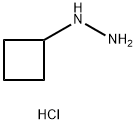 N-Cyclobutylhydrazine HCl