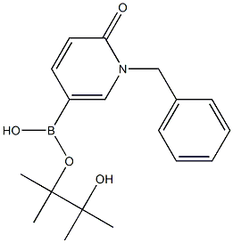 1-苄基-6-氧代-1,6-二氢吡啶-3-硼酸频哪醇酯