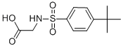 2-(([4-(叔丁基)苯基]磺酰基)氨基)乙酸