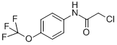 N-(CHLOROACETYL)-4-(TRIFLUOROMETHOXY)ANILINE