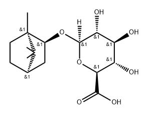 Borneol glucuronide