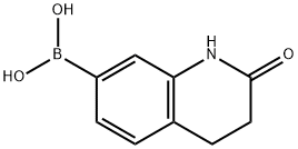 1,2,3,4-tetrahydro-2-oxoquinolin-7-yl-7-boronic acid