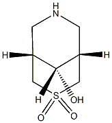 (1R,5S,9s)-9-hydroxy-3-thia-7-azabicyclo[3.3.1]nonane 3,3-dioxide