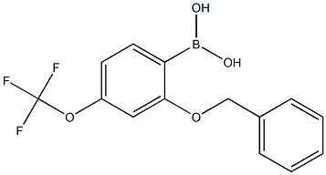 2-苄氧基-4-(三氟甲氧基)苯硼酸