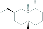 Β-瑟林烯