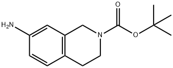 叔-丁基-7-氨基-3,4-二氢异喹啉-2(1H)-甲酸