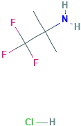 1,1,1-三氟-2-甲基丙-2-胺盐酸盐