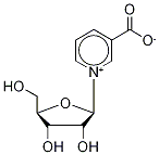 烟酸核糖