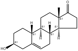 19去甲基-DHEA