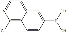 1-chloroisoquinolin-6-yl-6-boronic acid