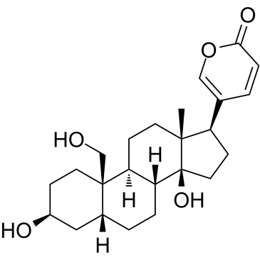 19-羟基蟾毒灵