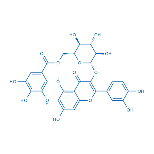 Quercetin 3-O-β-D-(6-O- galloyl)glucopyranoside