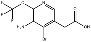 3-Amino-4-bromo-2-(trifluoromethoxy)pyridine-5-acetic acid