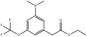 Ethyl 3-dimethylamino-5-(trifluoromethoxy)phenylacetate