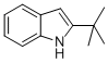 2-叔丁基-1H-吲哚