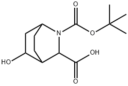 2-Azabicyclo[2.2.2]octane-2,3-dicarboxylic acid, 5-hydroxy-, 2-(1,1-dimethylethy…