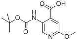 5-(TERT-BUTOXYCARBONYLAMINO)-2-METHOXYPYRIDINE-4-CARBOXYLIC ACID