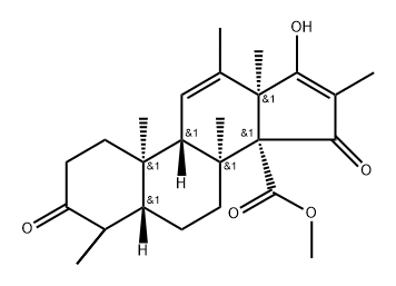 雄斯汀 D