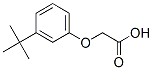 [3-(1,1-dimethylethyl)phenoxy]acetic acid