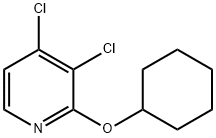 3,4-dichloro-2-(cyclohexyloxy)pyridine