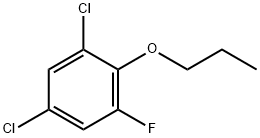 1,5-dichloro-3-fluoro-2-propoxybenzene