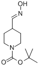 2-甲基-2-丙基4-(羟基亚氨代甲酰基)-1-哌啶羧酸酯