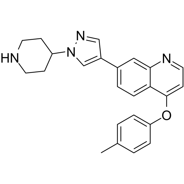 CS-2831