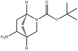 2-Azabicyclo[2.2.1]heptane-2-carboxylic acid, 5-amino-, 1,1-dimethylethyl ester, (1S,4S)-