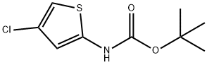 2-Methyl-2-propanyl (4-chloro-2-thienyl)carbamate