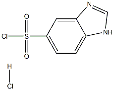 1H-1,3-BENZODIAZOLE-5-SULFONYL CHLORIDE HYDROCHLORIDE