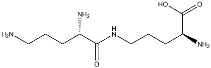 鸟氨酸二聚体1