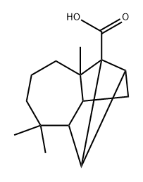 長葉酸