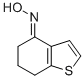 (E)-6,7-DIHYDROBENZO[B]THIOPHEN-4(5H)-ONE OXIME