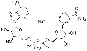 β-烟酰胺腺嘌呤二核苷酸