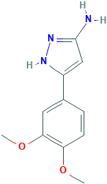 5-(3,4-DIMETHOXY-PHENYL)-2H-PYRAZOL-3-YLAMINE