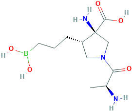 (3R,4S)-1-(L-alanyl)-3-amino-4-(3-boronopropyl)pyrrolidine-3-carboxylic acid