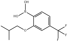 2-异丁氧基-4-(三氟甲基)苯基硼酸