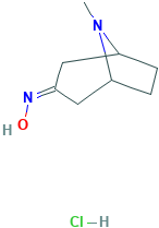 8-甲基-8-氮杂双环[3.2.1]辛烷-3-酮肟盐酸盐