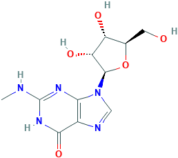 N2-METHYLGUANOSINE