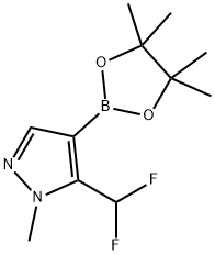 5-(DIFLUOROMETHYL)-1-METHYL-4-(TETRAMETHYL-1,3,2-DIOXABOROLAN-2-YL)-1H-PYRAZOLE