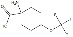 1-amino-4-(trifluoromethoxy)cyclohexane-1-carboxylic acid