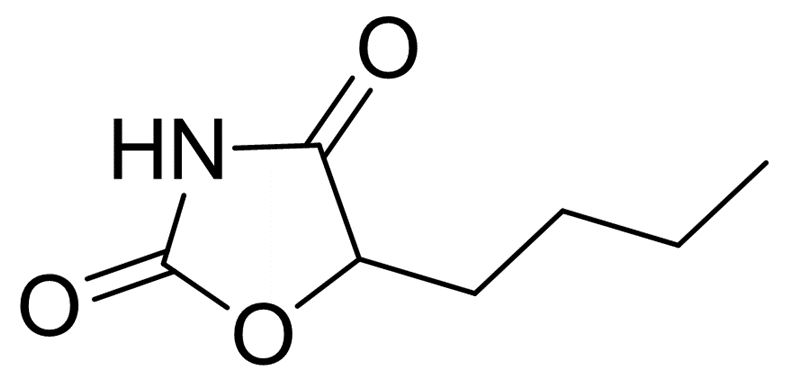 ERUCAMIDE