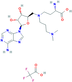 CS-2876