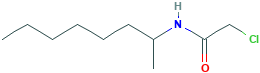 2-CHLORO-N-(1-METHYLHEPTYL)ACETAMIDE