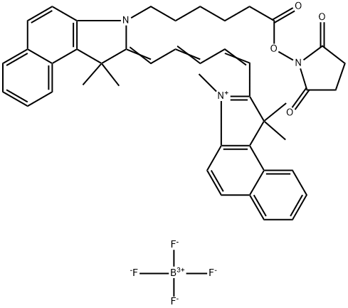 Cyanine5.5 NHS ester