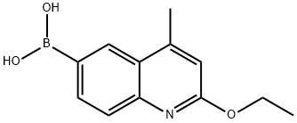 (2-Ethoxy-4-methylquinolin-6-yl)boronic acid