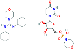 Uridine 5'-monophosphomorpholidate 4-morpholine-N,N'-dicyclohexylcarboxamidine salt