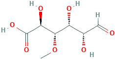 4-O-methylglucuronic acid