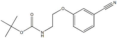 3-(Boc-aMinoethyloxy)benzonitrile