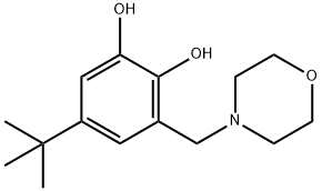 5-(Tert-butyl)-3-(morpholinomethyl)benzene-1,2-diol